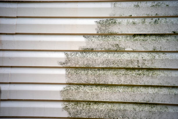 Best Yard Waste Removal  in Brices Creek, NC